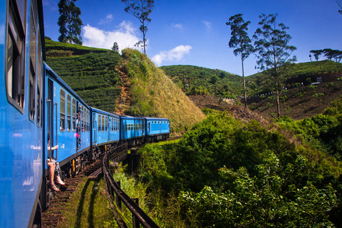 Planning Your Sri Lanka Trip: An Ultimate Itinerary Planner